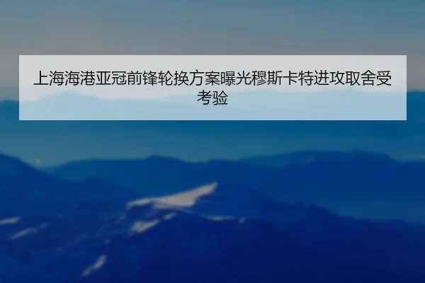 上海海港亚冠前锋轮换方案曝光穆斯卡特进攻取舍受考验 - NG28